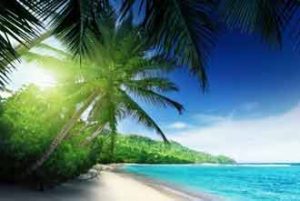 Traumstrände auf den Seychellen - Afrika-Urlaub zum Genießen